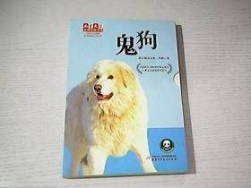 鬼犬在线观看,惊悚悬疑，探寻灵异世界的神秘传说